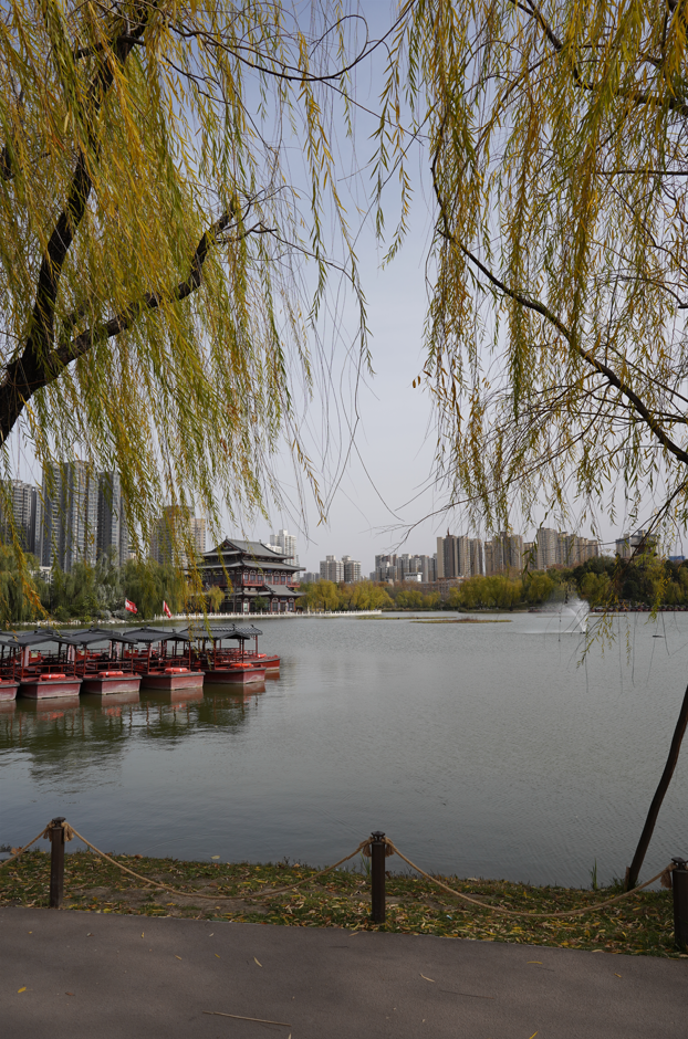 cf97a0048a88175afa44a3d3f080b6ae.png