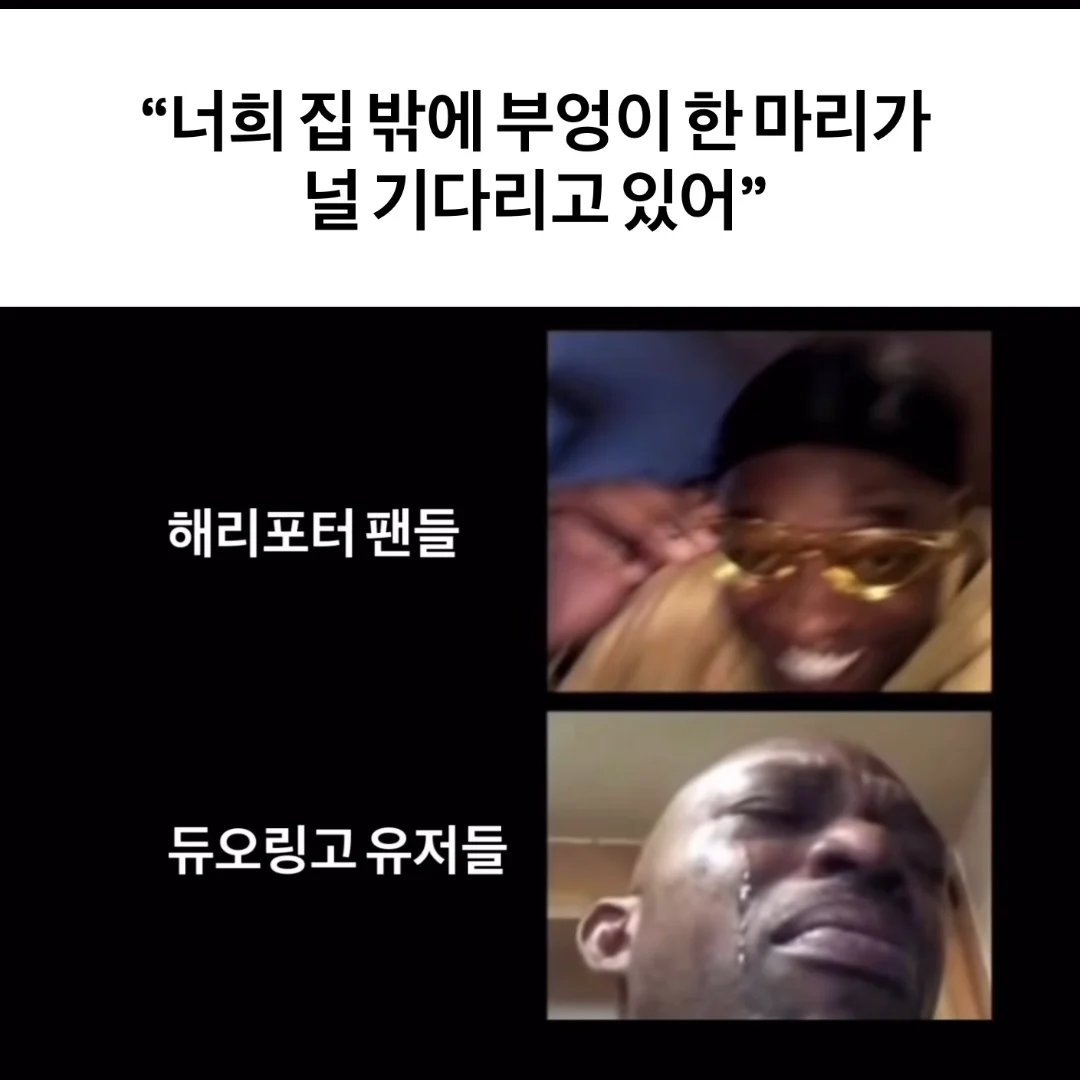 2f2203fac807c48af99737c7f953335a.jpeg