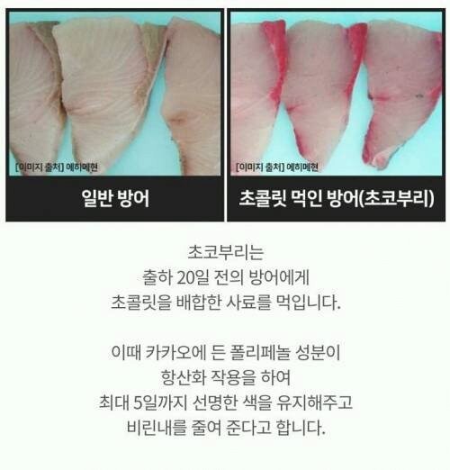 19a47be59cb2e4e24.jpg
