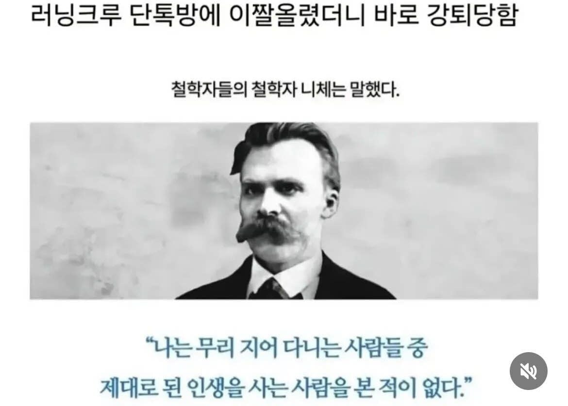 86410d53e82db159b4ce27b05aa86559.jpeg