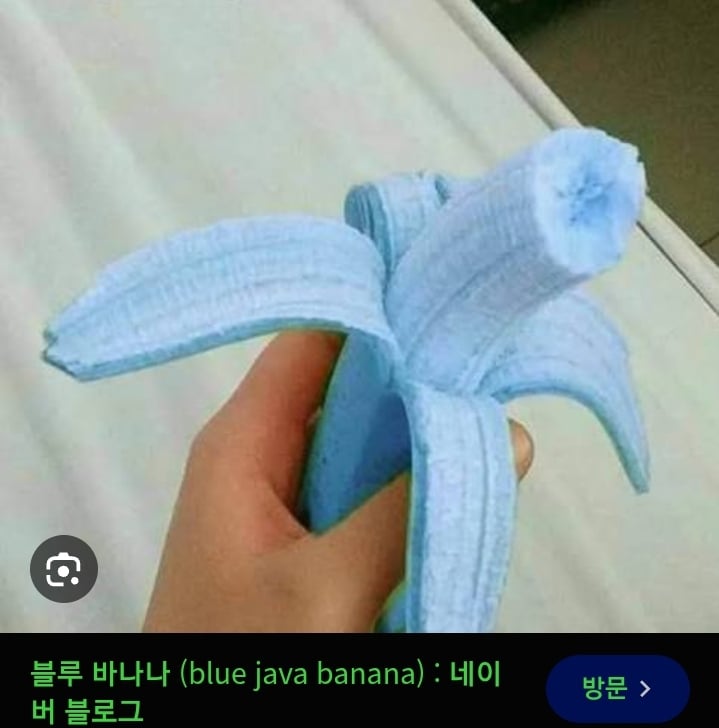c64768314569d991fe1dc3aea458a6bd.jpg