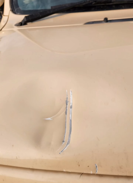 03266037110ce6abfb5d95482a854e6b.png