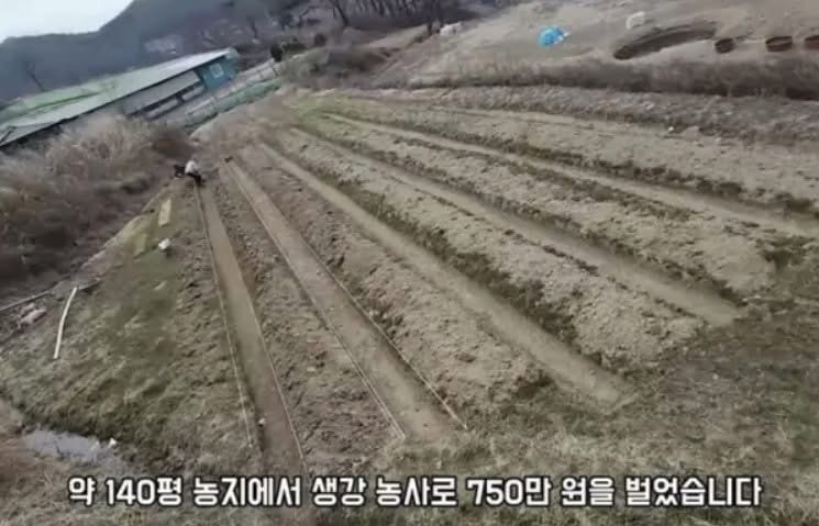 8393c986eebab78731a978935e2761ff.jpg