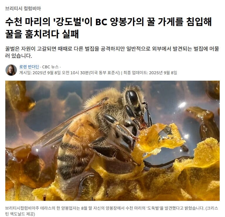 72df3c235a3af7ec8a6c044347f7c2ff.jpg