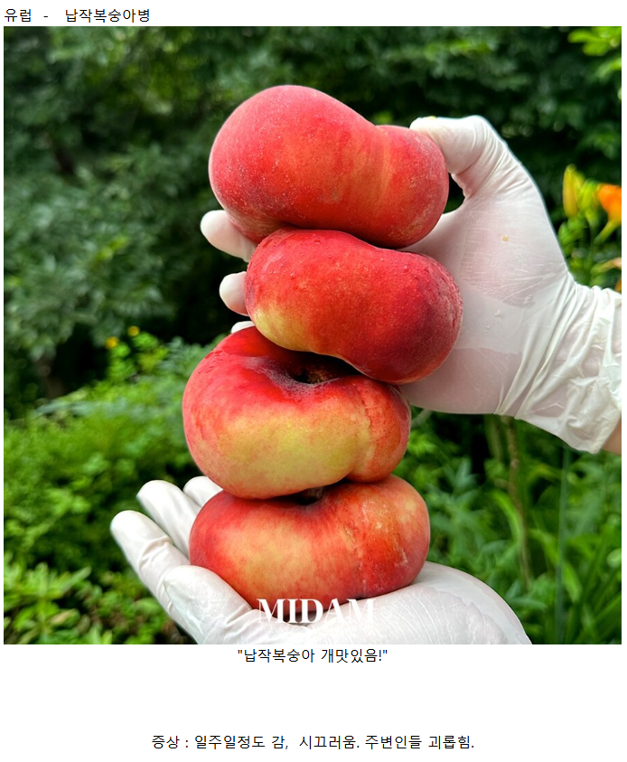 2f7f7d31ec39fd7169aa5f2d8dbd9c7e.png
