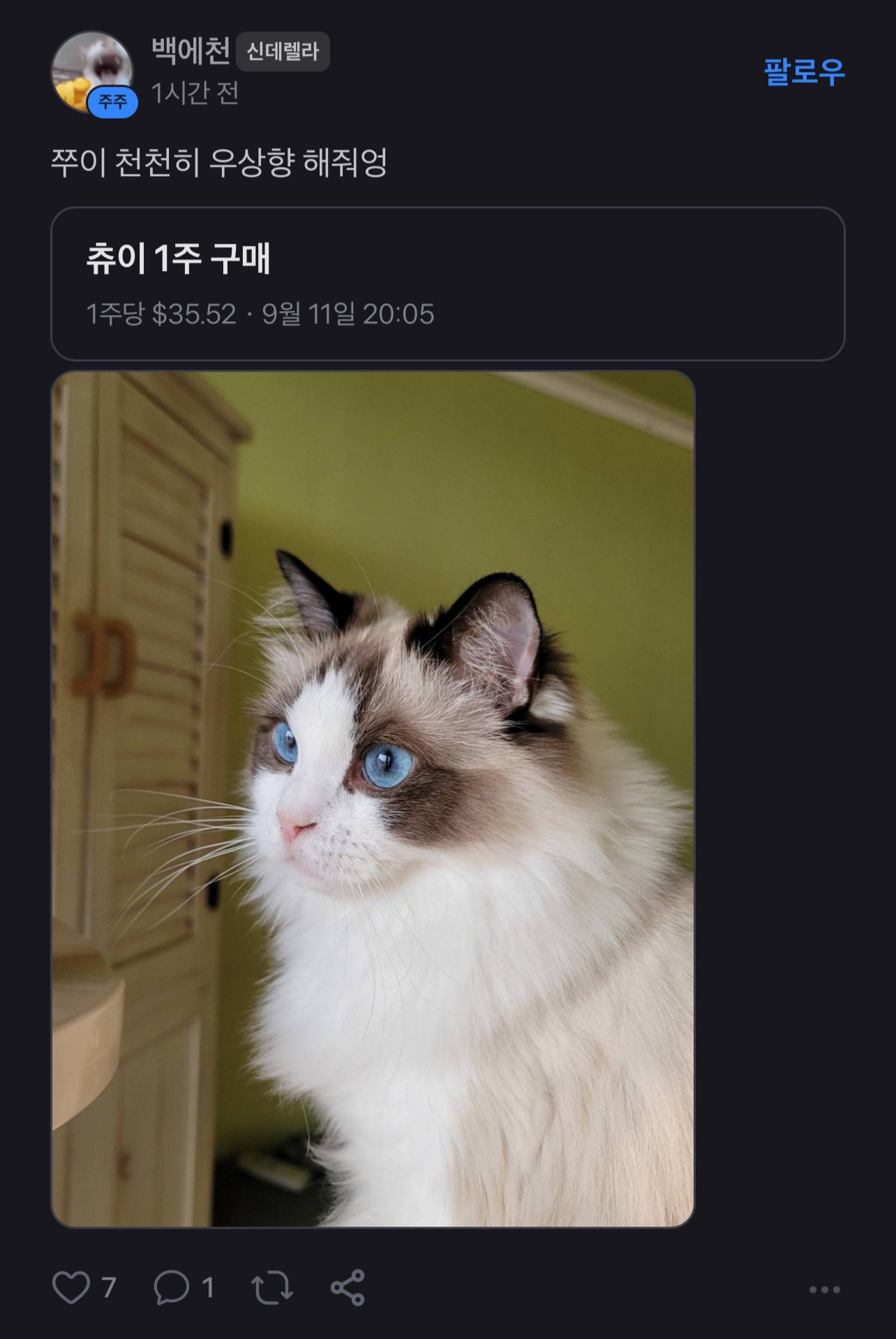 d0a6a6e8dc32d4716fc377b2e6a02006.jpeg