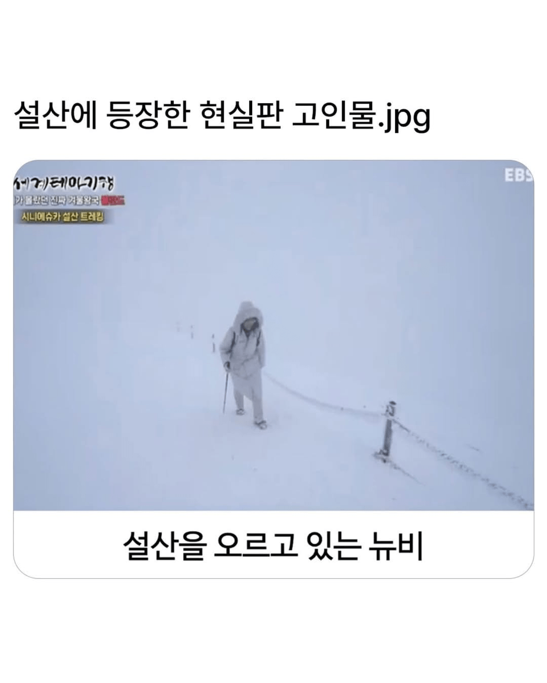 542c6363dec194fbc9a8bf1662965d54.png