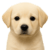 22.png
