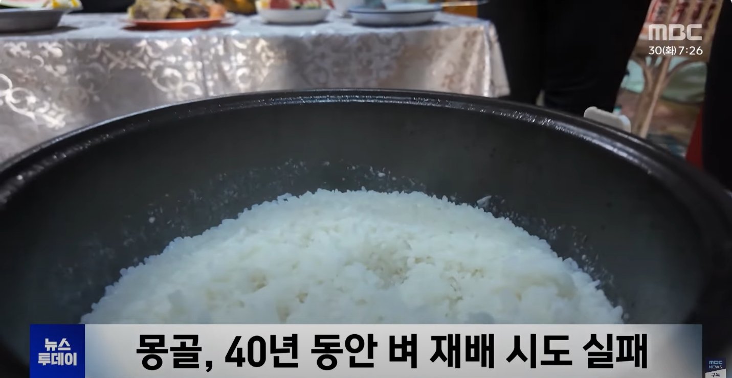 0c92ac6860604ed9bd331d51ce2d787e.jpg
