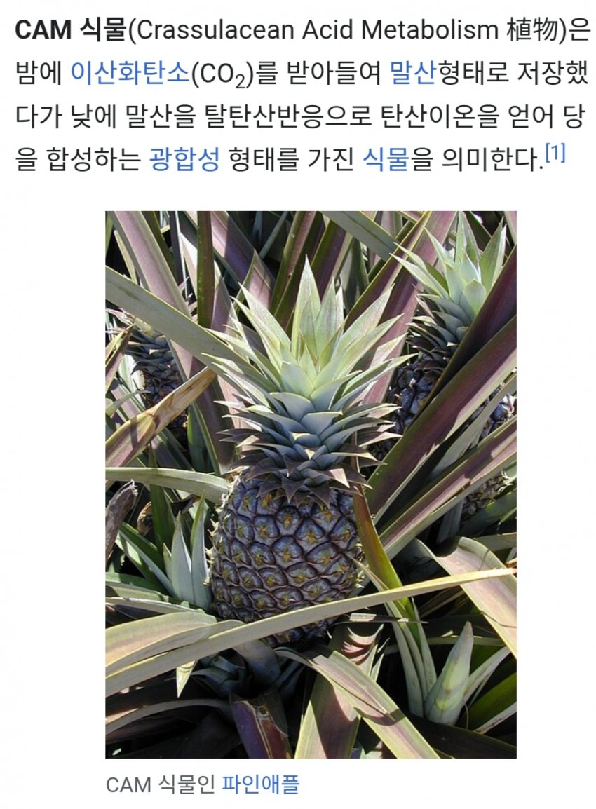 62cd1c5be8b4b97d35cafbee36fe1870.png