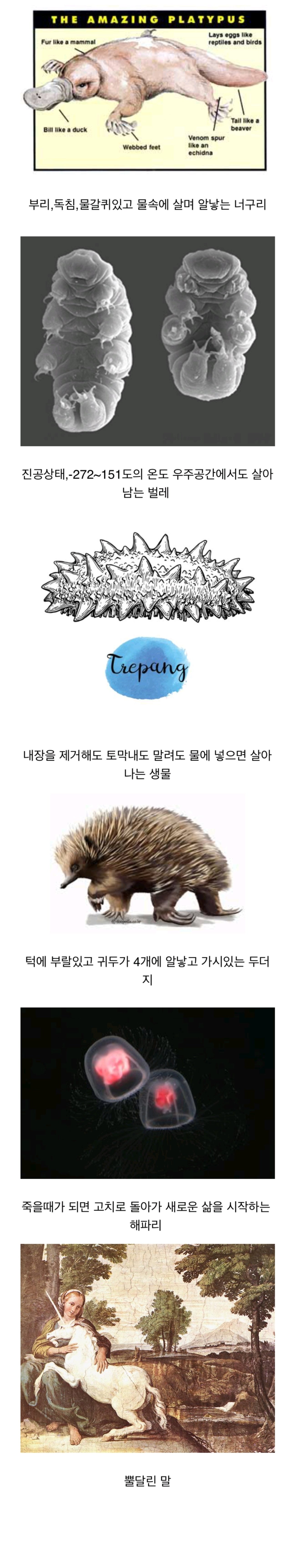 94afb1e69e61059bbe99a408cc0c91bb.jpg