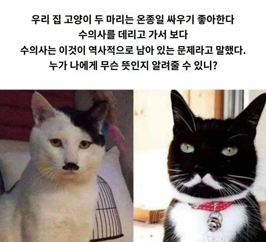 44df626cc3268cb23cd6adbc50c3888c.jpg