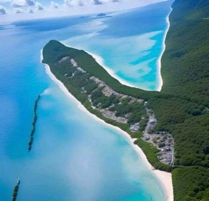 20250727_052735.jpg